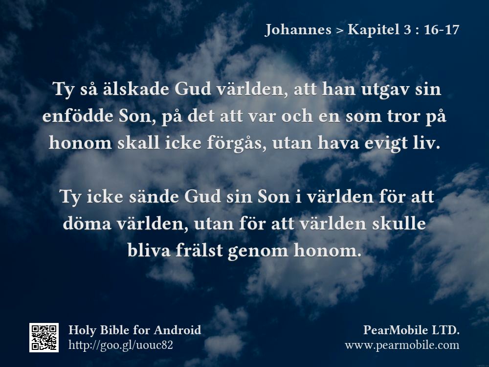 Johannes, Kapitel 3:16-17